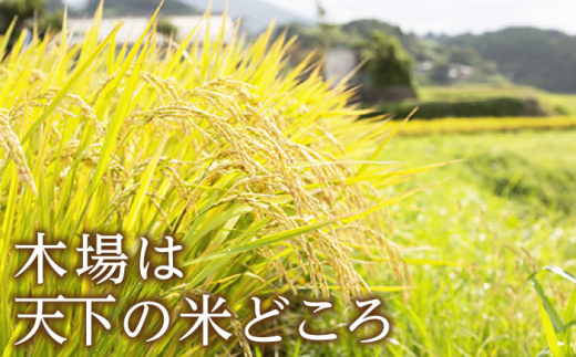 【令和6年度産】【2回定期便】 湧水米＜なつほのか＞5kg×2回 お米 米 こめ お米 白米 精米 甘い 国産 5kg 定期便 東彼杵町/木場みのりの会 [BAV041]