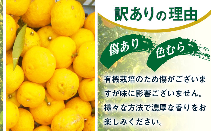 【訳あり※キズあり】種なし柚子2kg 柚子 ゆず 柑橘 東彼杵町/たぬき池自然農園 [BCZ002]