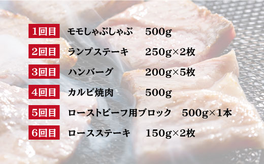 【全12回定期便】長崎和牛 バラエティセット「シルバー」 総計6.6kg 肉 お肉 牛肉 和牛 もも ランプ カルビ ロース ハンバーグ ローストビーフ しゃぶしゃぶ ステーキ 希少部位 東彼杵町/黒牛 [BBU012]