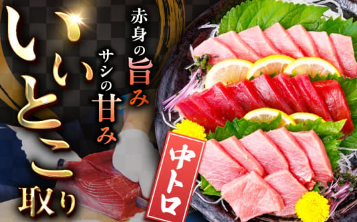 【全6回定期便(月1回)】長崎県産 本マグロ 中トロ皮付き 約700g 【大村湾漁業協同組合】 [BAK026]/中トロ 中とろ まぐろ 刺身