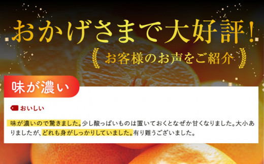 【人気返礼品が復活】【限定20セット追加】山田さん家の濃厚！露地不知火(約5kg) デコポン でこぽん 不知火 しらぬい 柑橘 みかん  東彼杵/山田 [BBM003]