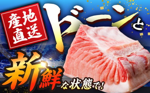 【全3回定期便(月1回)】長崎県産 本マグロ 大トロ 皮付き 約600g 【大村湾漁業協同組合】 [BAK028]/大トロ 大とろ まぐろ 刺身