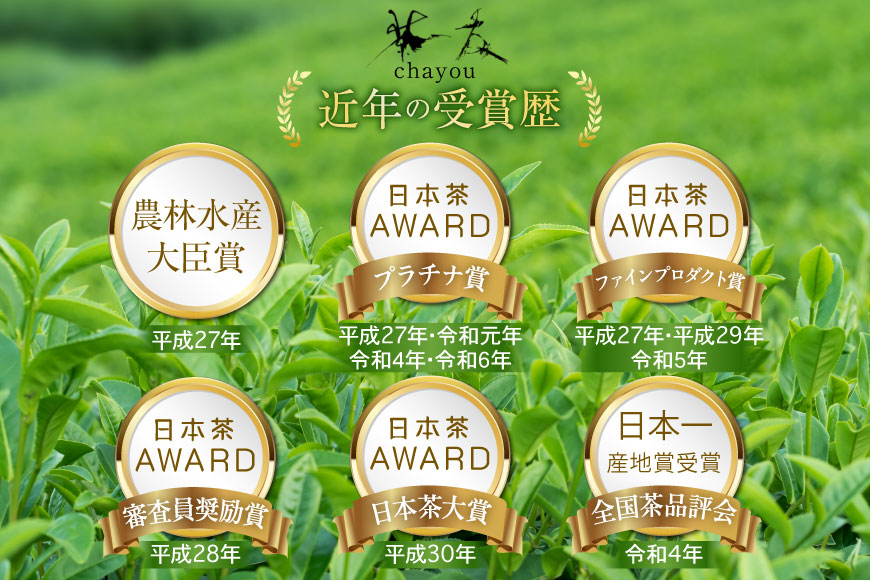 ほうじ茶 長崎 ティーバッグ ほうじ茶 ティーバッグ 4g 12パック 2袋 [茶友 長崎県 東彼杵町 hs42bag430004] ちゃ 茶 おちゃ お茶 ティーパック