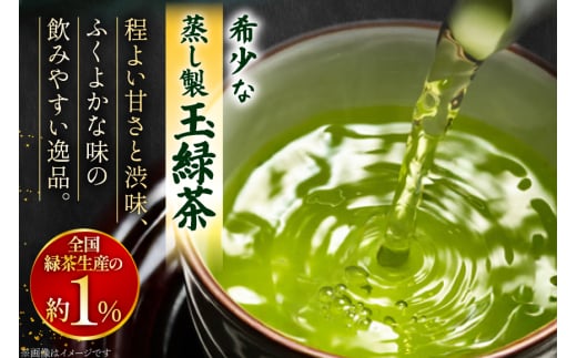 お茶 緑茶 そのぎ茶 特撰 100g×3袋入り [西海園(お茶の西海園) 長崎県 東彼杵町 hs42bag710001] 日本茶 茶葉 国産 長崎県産 東彼杵