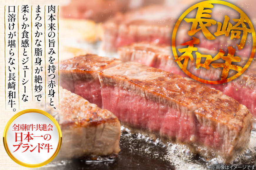 ヒレステーキ 和牛 長崎和牛 ヒレ ステーキ 120g 5枚 計600g [大川ストアー 長崎県 東彼杵町 hs42bag580000] ひれ ヒレ肉 ステーキ肉