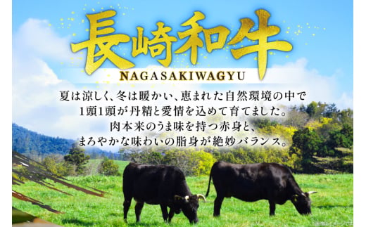 牛肉 和牛 長崎和牛 焼肉 赤身 500g 焼き肉 やきにく [彼杵の荘 長崎県 東彼杵町 hs42bag270047] 赤身 赤身肉 赤み あかみ 肉 お肉 牛肉 国産 和牛 黒毛和牛 冷凍 BBQ 鉄板焼