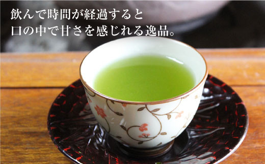 【長崎県優良特産品推奨品】そのぎ茶 (上) 100g×5袋入り 茶 ちゃ お茶 おちゃ 緑茶 りょくちゃ 日本茶 茶葉 東彼杵町/酒井製茶 [BBV003] 