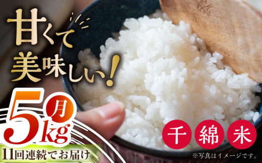  【全11回定期便】令和6年度産 千綿米 【5kg×11回】お米 米 白米 ふっくら ツヤツヤ 甘い 国産 5kg [BAT006]