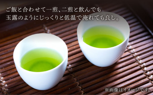 【全3回定期便】天然玉露 そのぎ茶 「あさつゆ」計6袋 (約100g×2袋/回) 茶 お茶 日本茶 茶葉 東彼杵町/月香園 [BAG009]