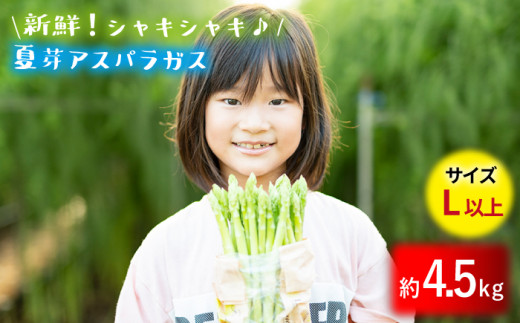 【生で食べれるほどの新鮮さ】夏芽アスパラガス4.5kg (Lサイズ以上) アスパラガス アスパラ 野菜 新鮮 夏野菜 東彼杵町/はゆっちFarm [BBW006]