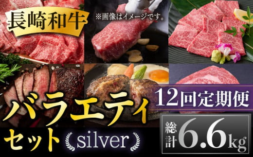 【全12回定期便】長崎和牛 バラエティセット「シルバー」 総計6.6kg 肉 お肉 牛肉 和牛 もも ランプ カルビ ロース ハンバーグ ローストビーフ しゃぶしゃぶ ステーキ 希少部位 東彼杵町/黒牛 [BBU012]