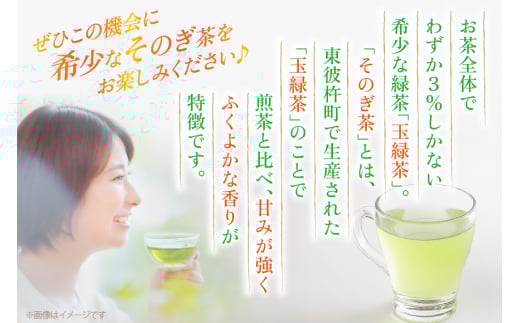 茶 お茶 緑茶 長崎 そのぎ茶 定期便 隔月 彼杵茶 玉緑茶 アルミボトル 290ml 24本 3回 総計72本 [彼杵の荘 長崎県 東彼杵町 hs42bag270020] 2か月に1回 ペットボトル 約 300ml 300