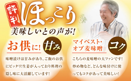 麦みそ1kgと田舎味噌漬け240g（5種）手作り 減塩 みそ 味噌 麦みそ 九州 こうじ 麦麹 調味料 味噌汁 みそ汁 漬物 漬け物 人気 東彼杵町/有限会社大渡商店 [BAA015]