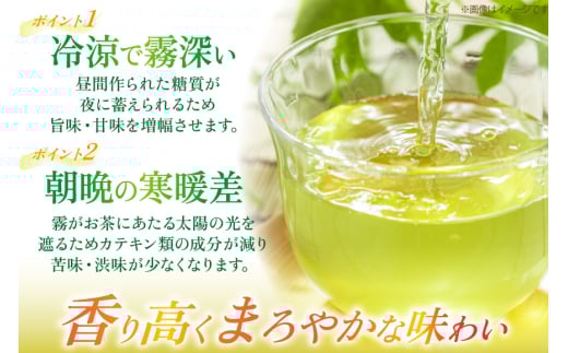 茶 お茶 緑茶 長崎 そのぎ茶 定期便 隔月 彼杵茶 玉緑茶 アルミボトル 290ml 24本 3回 総計72本 [彼杵の荘 長崎県 東彼杵町 hs42bag270020] 2か月に1回 ペットボトル 約 300ml 300