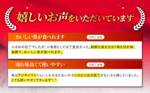 【最大4ヶ月まち】野鍛冶の魚さばき包丁(小魚用) 包丁 ほうちょう 出刃包丁 和包丁 三枚おろし 魚 さばく 東彼杵町/森かじや[BAI001]