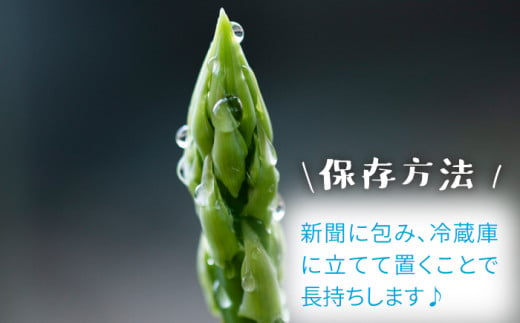 【生で食べれるほどの新鮮さ】夏芽アスパラガス 4.5kg (M・Lサイズ) アスパラガス アスパラ 野菜 新鮮 夏野菜 東彼杵町/はゆっちFarm [BBW005]