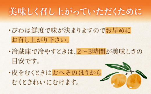 【2025年3月中旬より順次発送】東彼杵町産 長崎 ハウス びわ  1kg 化粧箱入 [BDC002]