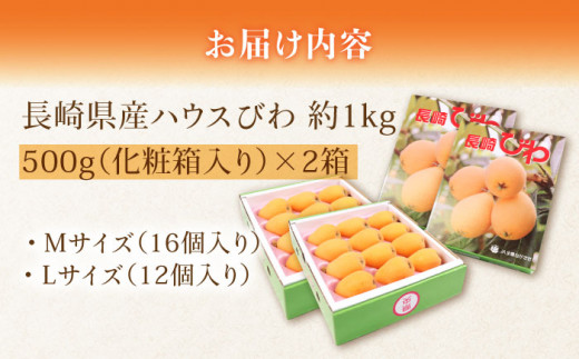 【2025年3月中旬より順次発送】東彼杵町産 長崎 ハウス びわ  1kg 化粧箱入 [BDC002]