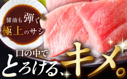 【全6回定期便(月1回)】長崎県産 本マグロ 中トロ皮付き 約700g 【大村湾漁業協同組合】 [BAK026]/中トロ 中とろ まぐろ 刺身