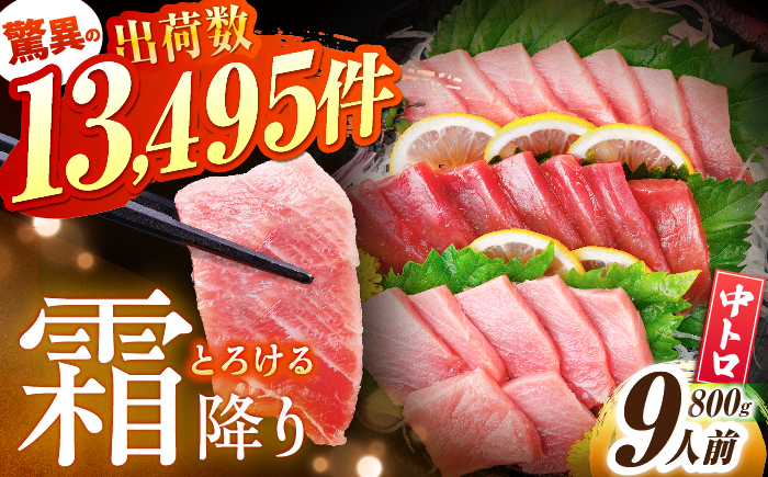 【先行予約】長崎県産 本マグロ「中トロ」(約800g) 中とろ マグロ まぐろ 鮪 マグロ刺身 ブロック トロ 刺身 さしみ 刺し身 冷凍 東彼杵町/大村湾漁業協同組合 [BAK037]