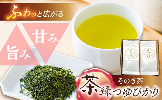 そのぎ茶《茶縁》「つゆひかり」100g×2袋入り 茶 ちゃ お茶 おちゃ 緑茶 りょくちゃ 日本茶 茶葉 東彼杵町/東坂こくまる商店 [BCL002] 