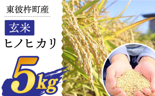 東彼杵町産のお米 5kg（玄米・令和5年度ヒノヒカリ）【株式会社ウラノ・URABIO】/お米 米 玄米 ふっくら ツヤツヤ 甘い 国産 [BDB004]