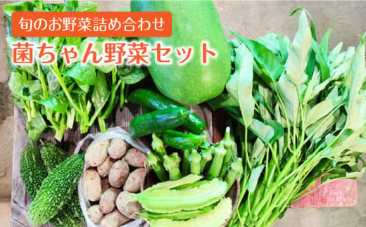 【旬の野菜を詰合せ】微生物が育てる 菌ちゃん野菜セット 野菜セット 野菜 やさい  [BCV001]