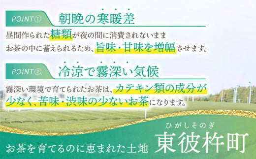 【日本茶AWARD2018大賞 受賞】そのぎ茶 希少品種あさつゆ 80g×2袋入り 茶 ちゃ お茶 おちゃ 緑茶 りょくちゃ 日本茶 茶葉 東彼杵町/茶友 [BAM001]  