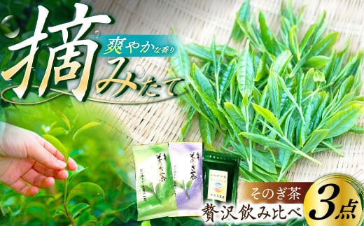 そのぎ茶 贅沢飲み比べセット (萌90g/啓90g/ティーバッグ3g×12個) 茶 ちゃ お茶 おちゃ 緑茶 りょくちゃ 日本茶 茶葉 東彼杵町/中里茶農園 [BCH001] 