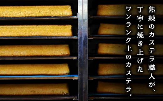 【もっちり濃い♪】五三焼カステラ 10本セット / スイーツ ケーキ おやつ 焼き菓子 和菓子 【長崎心泉堂】 [BAC019]