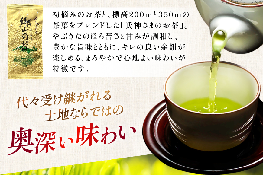 茶 茶葉 緑茶 九州 そのぎ茶 「郷山の茶」 80g×3袋入り [東坂茶園 長崎県 東彼杵町 hs42bag690004] お茶 茶 茶葉 銘茶 セット