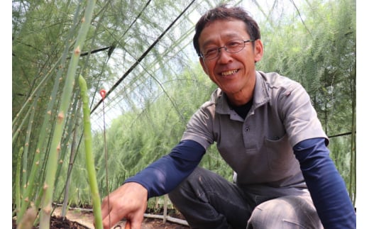 アスパラガス あすぱらがす 【農家直送】夏芽アスパラガス 1.5kg（L以上） [前平農園 長崎県 東彼杵町 hs42bag540003] アスパラガス アスパラ 野菜 やさい 新鮮 夏野菜 あすぱらがす あすぱら