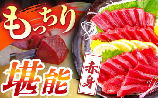 【全12回定期便(月1回)】長崎県産 本マグロ 赤身 500g まぐろ 鮪 さしみ 刺身 刺し身 冷凍 東彼杵町/大村湾漁業協同組合  [BAK024]