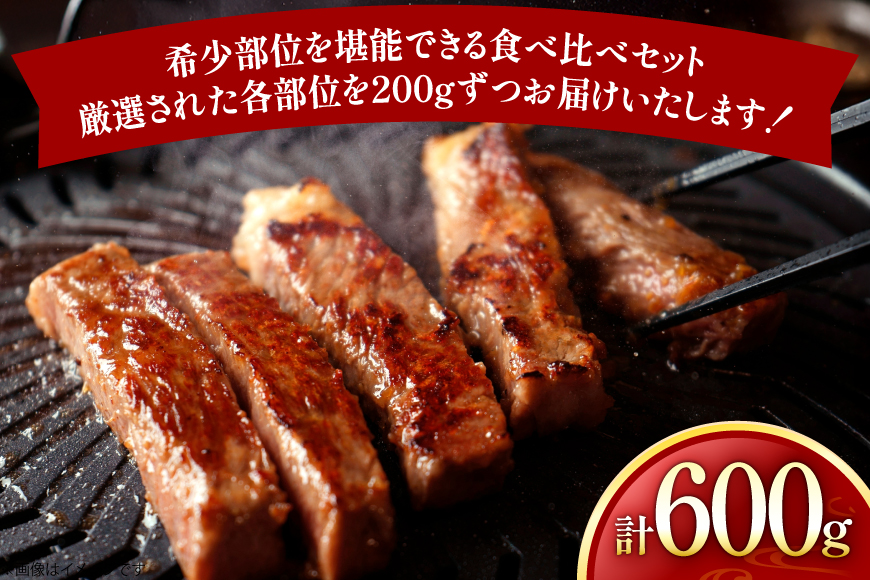牛肉 長崎和牛 希少部位 食べ比べ ミスジ イチボ ザブトン 計600g [黒牛 長崎県 東彼杵町 hs42bag750030] 焼き肉 みすじ いちぼ ざぶとん 食べくらべ