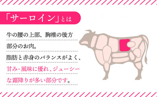 長崎和牛 堪能セット サーロインステーキ (225g×6枚) ＆ すき焼き用スライス (900g) すきやき 薄切り スライス 大人気 東彼杵町/株式会社彼杵の荘 [BAU013]