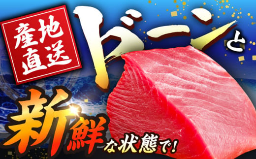 【全6回定期便(月1回)】長崎県産 本マグロ 赤身 500g まぐろ 鮪 さしみ 刺身 刺し身 冷凍 東彼杵町/大村湾漁業協同組合 [BAK023]