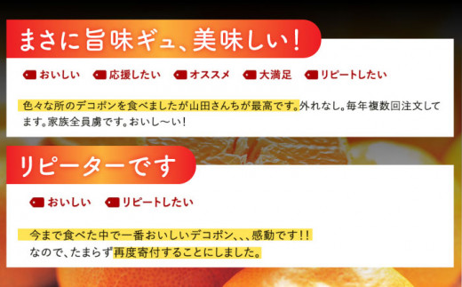 【ご好評にて再入荷いたしました！】山田さん家の濃厚！ハウス不知火（デコポンと同品種） 約5kg [BBM002]