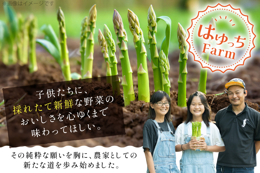 アスパラ アスパラガス 夏芽アスパラガス 2kg M L サイズ混合 [はゆっちFARM 長崎県 東彼杵町 hs42bag360002] アスパラ あすぱら 新鮮 夏