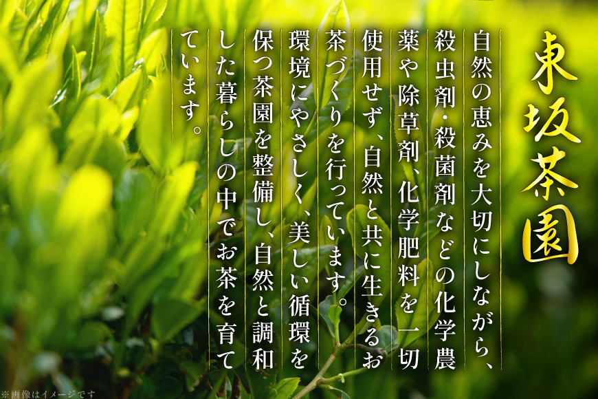 茶 茶葉 ほうじ茶 柑橘 みかん 九州 橙ほうじ茶 50g×3袋 [東坂茶園 長崎県 東彼杵町 hs42bag690002] ほうじ茶 そのぎ茶 焙じ茶 銘茶 セット