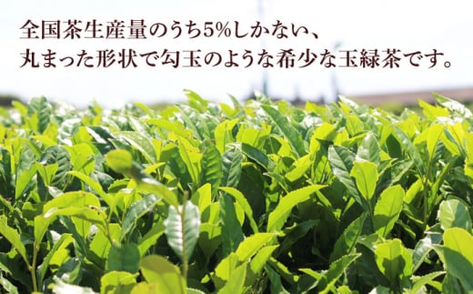 そのぎ茶 (極上) 100g×2袋入り 茶 ちゃ お茶 おちゃ 緑茶 りょくちゃ 日本茶 茶葉 東彼杵町/酒井製茶 [BBV030] 