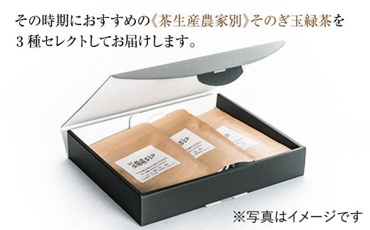 そのぎ茶 玉緑茶 3点セット〜農家編〜 茶 お茶 緑茶 茶葉 東彼杵町/くじらの髭 [BBQ046]