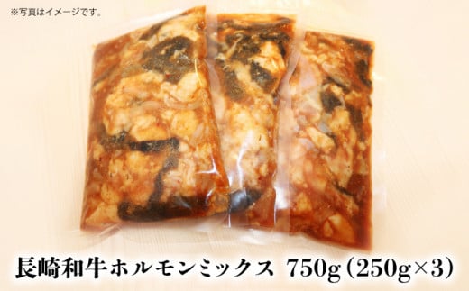 【農場直営/A4ランク】長崎和牛ホルモンミックス 750g（250g×3）ホルモン ほるもん 焼肉用 こだわり 味付け 日本一【焼肉音琴】 [BCT020]