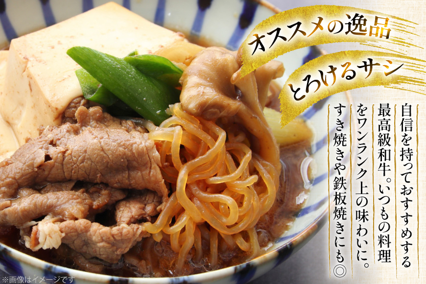 和牛 切り落とし 霜降り肉 定期便 長崎和牛 切り落し 500g 6回 総計3kg [大川ストアー 長崎県 東彼杵町 hs42bag580075] 赤身 すき焼き 肉 しゃぶしゃぶ 牛肉