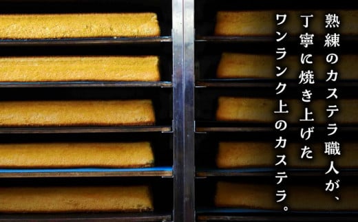 五三焼 カステラ 0.6号 2本セット 【長崎心泉堂】 / スイーツ ケーキ おやつ 焼き菓子 和菓子 贈答 ギフト [BAC035]