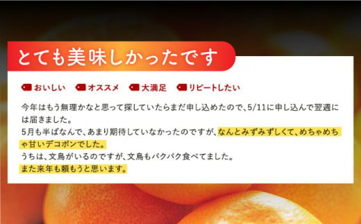 【人気返礼品が復活】【限定20セット追加】山田さん家の濃厚！露地不知火(約5kg) デコポン でこぽん 不知火 しらぬい 柑橘 みかん  東彼杵/山田 [BBM003]