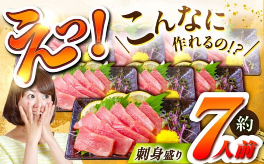 【全6回定期便(月1回)】長崎県産 本マグロ 大トロ皮付き 約600g 【大村湾漁業協同組合】 [BAK029]/大トロ 大とろ まぐろ 刺身