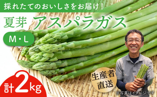 【農家直送】夏芽アスパラガス 2kg (M・L混合)  アスパラガス アスパラ 野菜 新鮮 夏野菜 東彼杵町 / 前平農園 [BCG005]