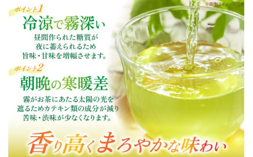 茶 お茶 緑茶 長崎 そのぎ茶 定期便 毎月 彼杵茶 玉緑茶 アルミボトル 490ml 24本 6回 総計144本 [彼杵の荘 長崎県 東彼杵町 hs42bag270039] 月に1回 ペットボトル 約 500ml 500