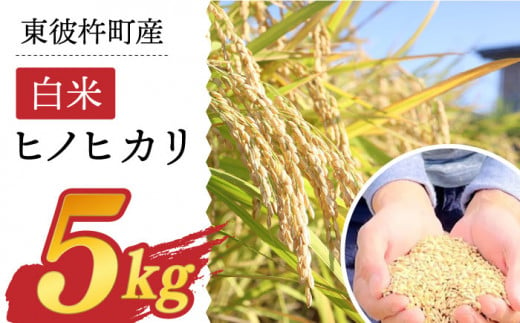 東彼杵町産のお米 5kg（白米・令和5年度ヒノヒカリ）【株式会社ウラノ・URABIO】/お米 米 白米 ふっくら ツヤツヤ 甘い 国産 [BDB003]