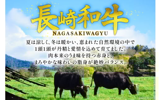 牛肉 和牛 長崎和牛 サーロインステーキ 225g 2枚 計450g [彼杵の荘 長崎県 東彼杵町 hs42bag270004] ステーキ 霜降り 黒毛和牛 冷凍 肉 お肉
